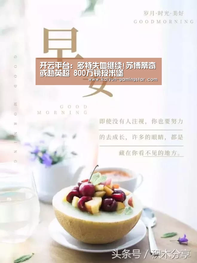 开云平台:多特失血继续!苏博蒂奇或赴英超 800万镑投米堡(图2) 开云入口