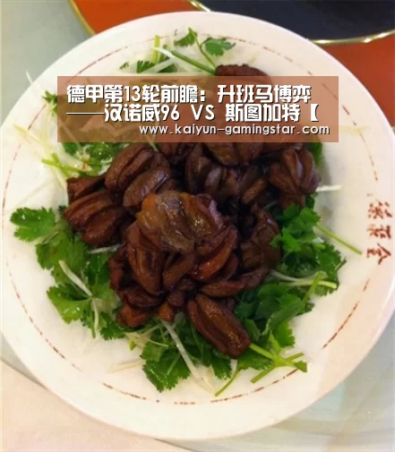 德甲第13轮前瞻:升班马博弈——汉诺威96 VS 斯图加特【开云入口】(图1) 开云平台
