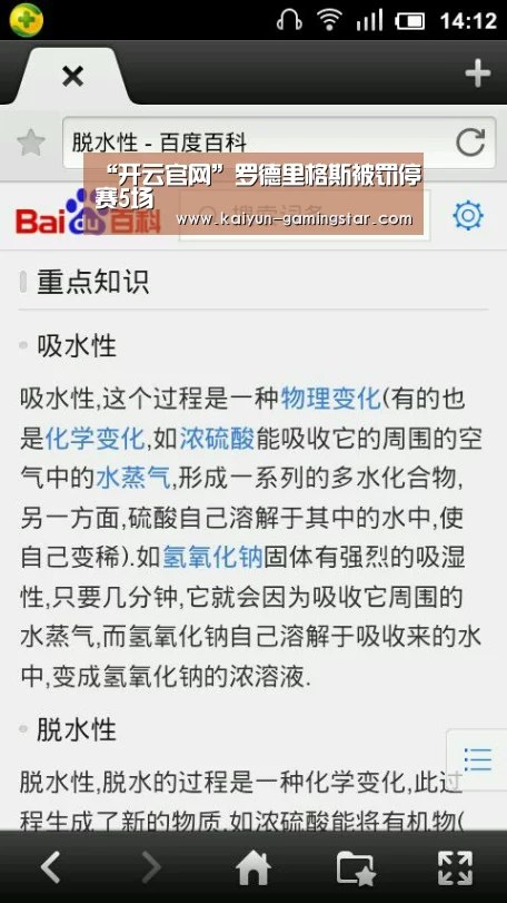 开云入口