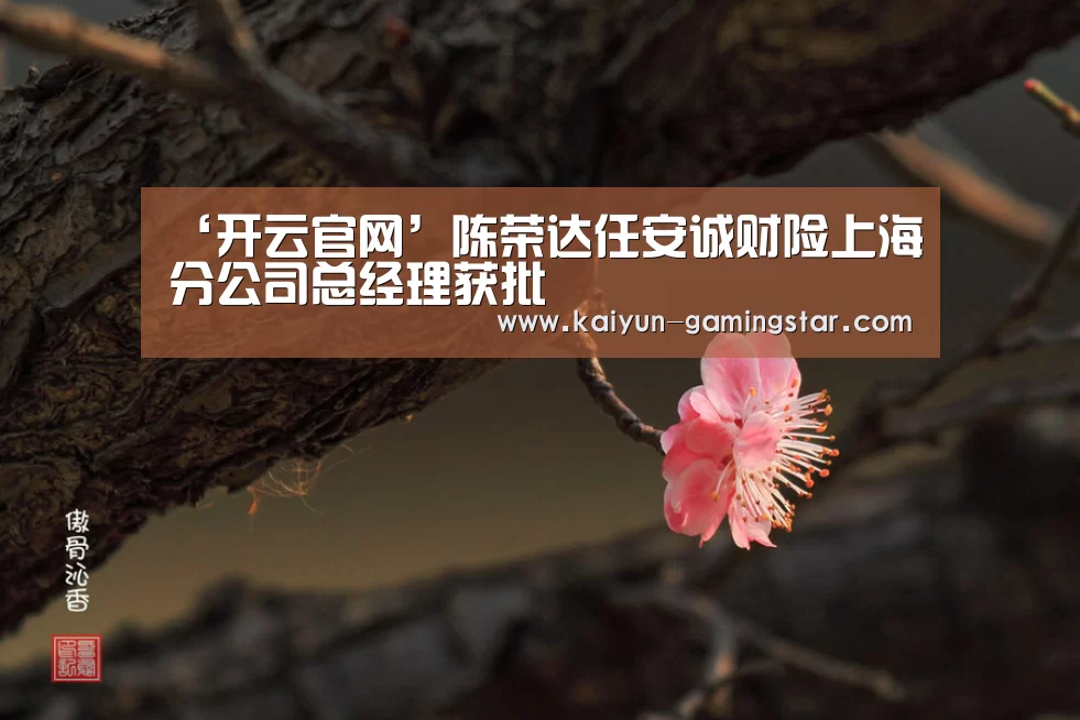 开云入口